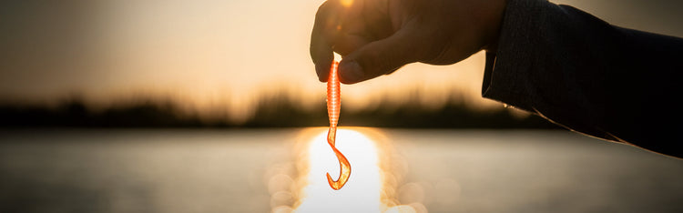 Soft Baits