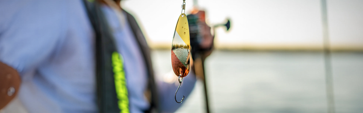 Lures
