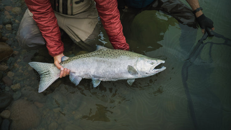 Puise de pêche pliante