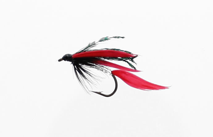 ALEXANDRA Wet Snelled Fly