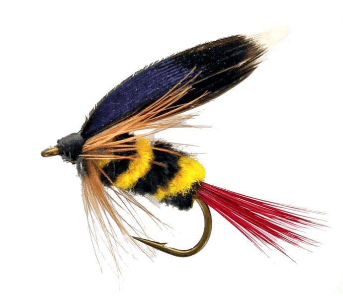 McGINTY Wet Snelled Fly