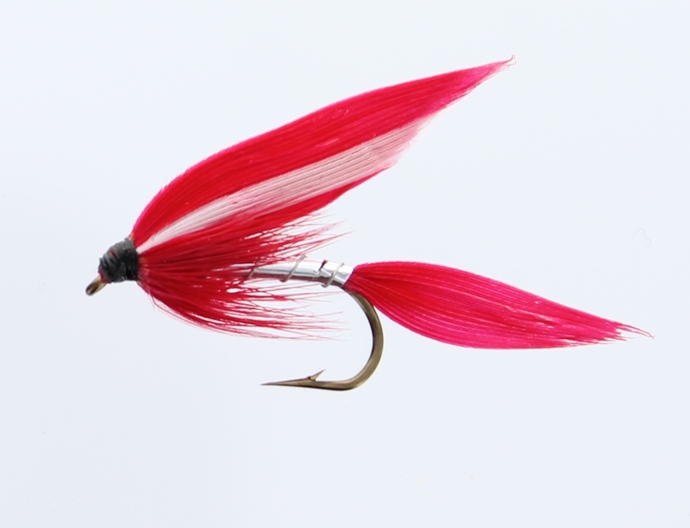 MICKEY FINN Wet Snelled Fly