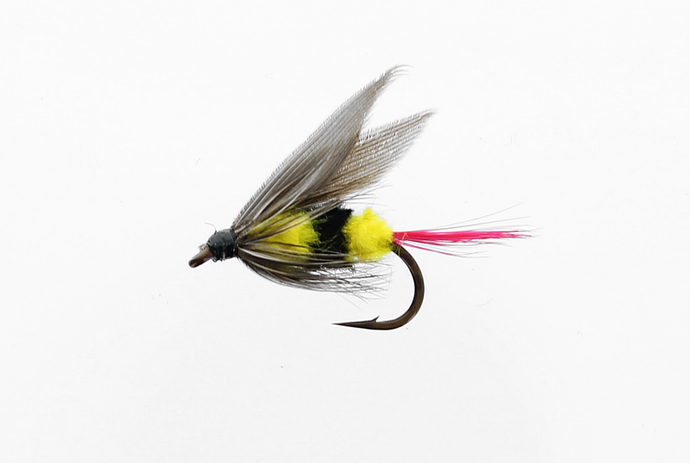 WESTERN BEE Wet Snelled Fly