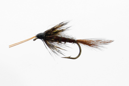 13A Wet Snelled Fly