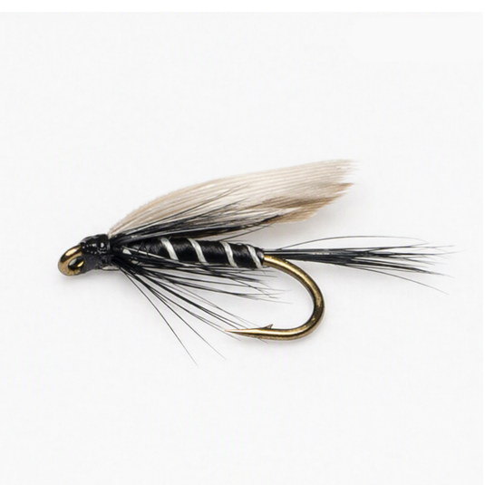 BLACK GNAT Wet Snelled Fly