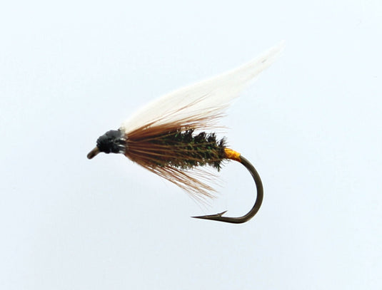 COACHMAN Wet Fly