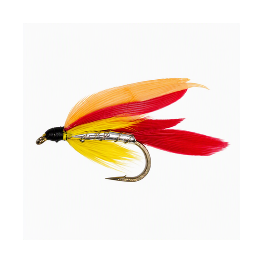 MICKEY FINN Wet Snelled Fly