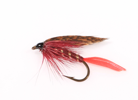 MONTREAL DARK WET SNELLED FLY