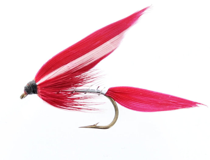 MONTMORENCY Wet Fly