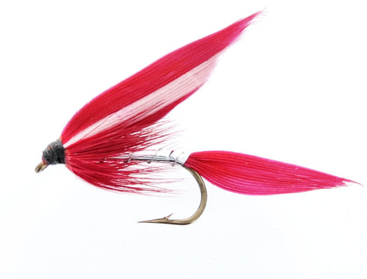 MONTMORENCY Wet Fly