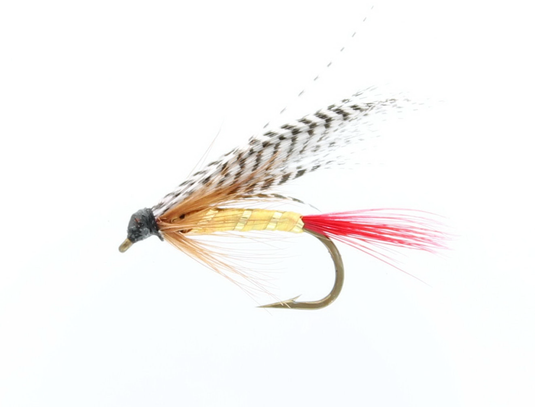 PROFESSOR WET SNELLED FLY