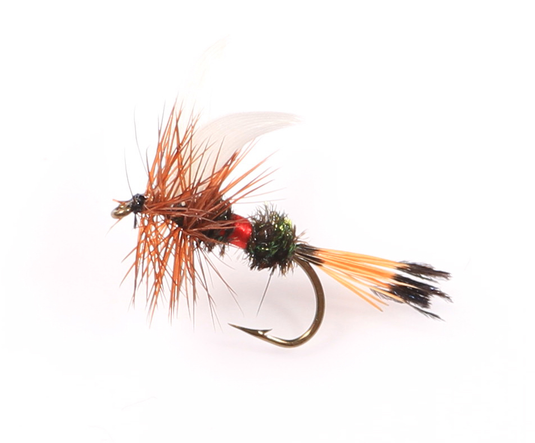 ROYAL COACHMAN Wet Fly