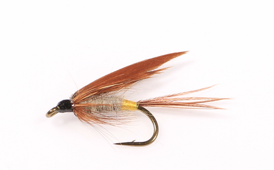 STONE FLY WET SNELLED FLY