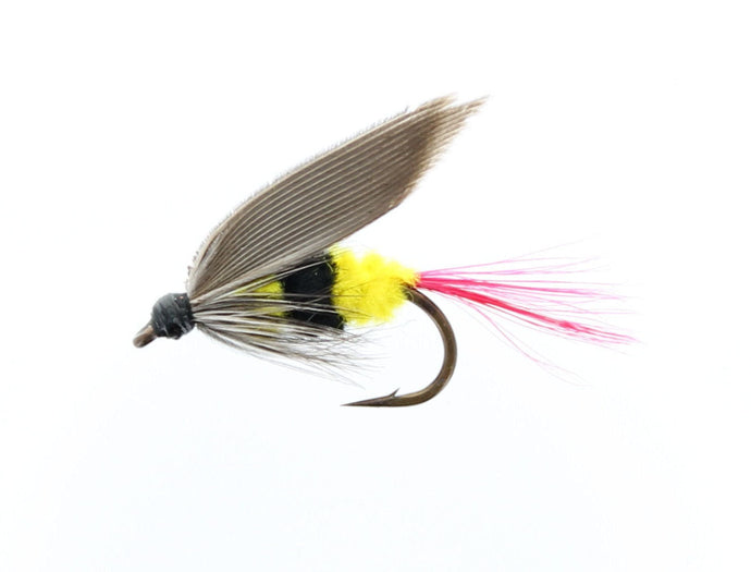 WESTERN BEE Wet Fly