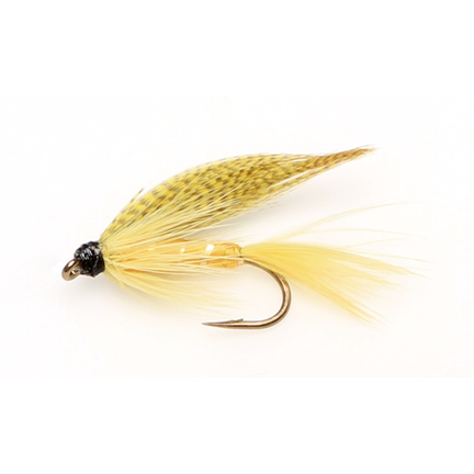 YELLOW MAY WET SNELLED FLY