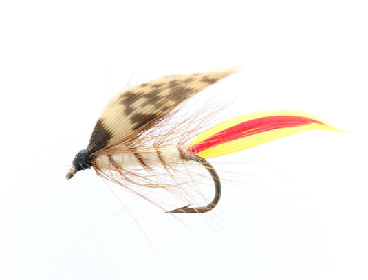 JOLIETTE HOPPER WET SNELLED FLY