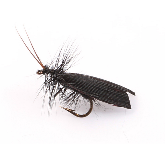 Mouche sèche montée sur nerf CADDIS BLACK TENT