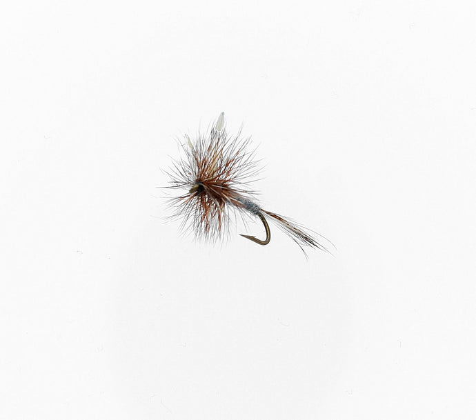 ADAMS Dry Fly