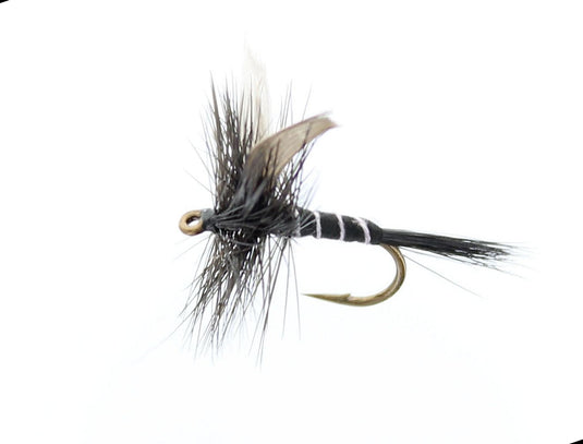 BLACK GNAT Dry Fly