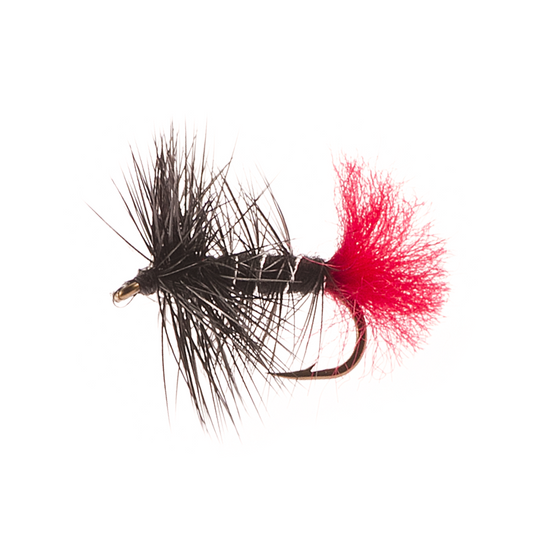 Mouche sèche montée sur nerf BLACK ZULU