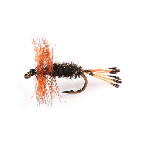 Mouche sèche montée sur nerf BROWN HACKLE