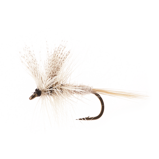 Mouche sèche montée sur nerf CAHILL LIGHT