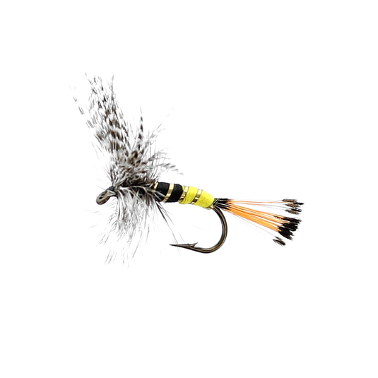 JOCK SCOTT Dry Fly