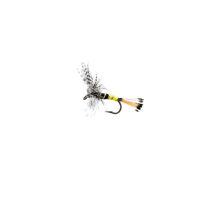 JOCK SCOTT Dry Fly