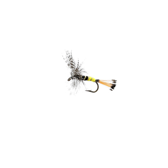JOCK SCOTT Dry Fly