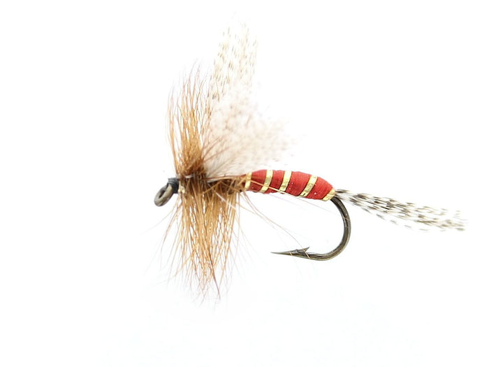 KING OF WATERS Dry Fly