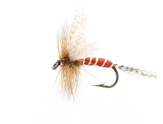 KING OF WATERS Dry Fly