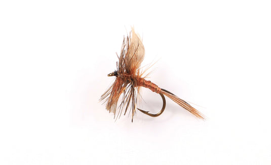 Mouche sèche montée sur nerf MARCH BROWN
