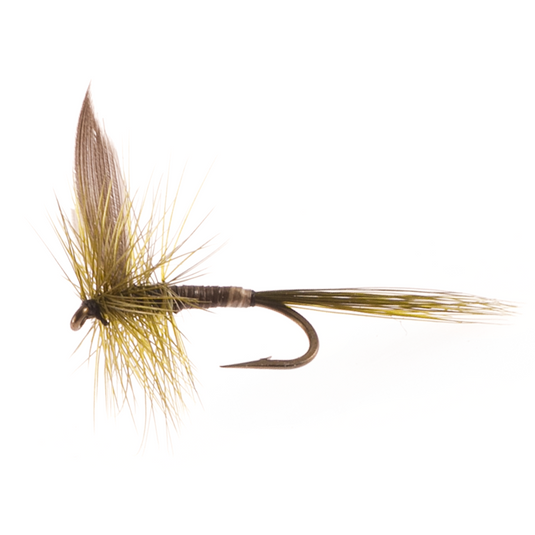 Mouche sèche montée sur nerf QUILL OLIVE LIGHT