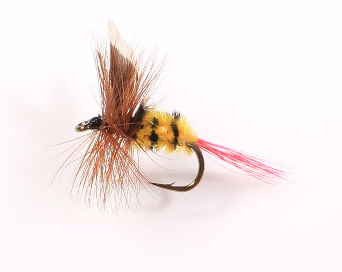 McGINTY Dry Fly