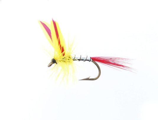 MICKEY FINN Dry Fly