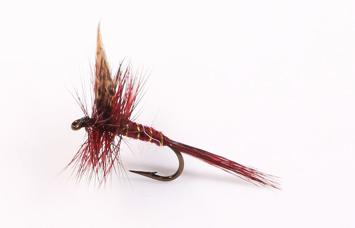 MONTREAL DARK Dry Fly