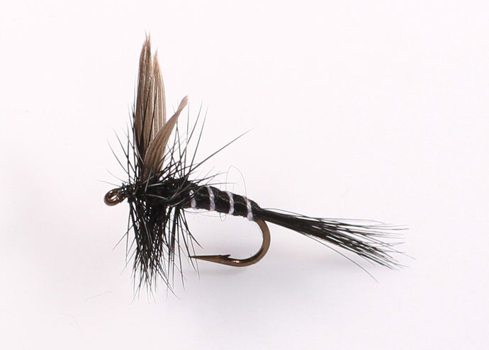 MOSQUITO Dry Fly