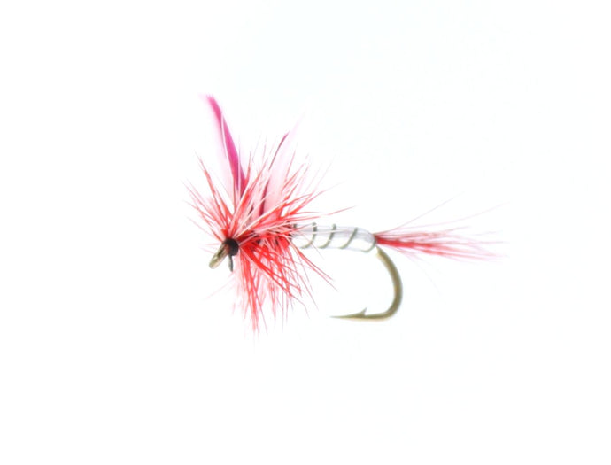 PAR BELLE SILVER Dry Fly