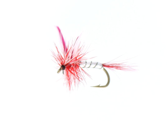 PAR BELLE YELLOW Dry Fly