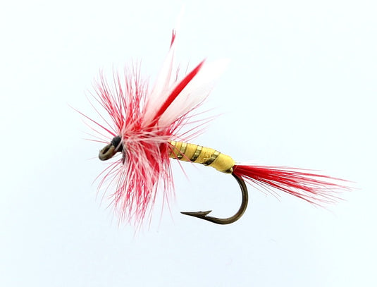 PAR BELLE YELLOW DRY SNELLED FLY