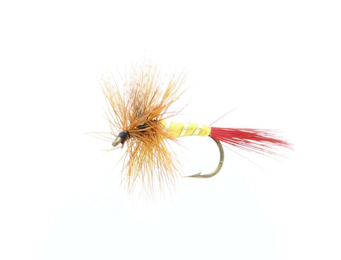 PROFESSOR Dry Fly