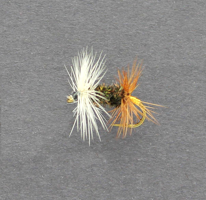 RENEGADE Dry Fly