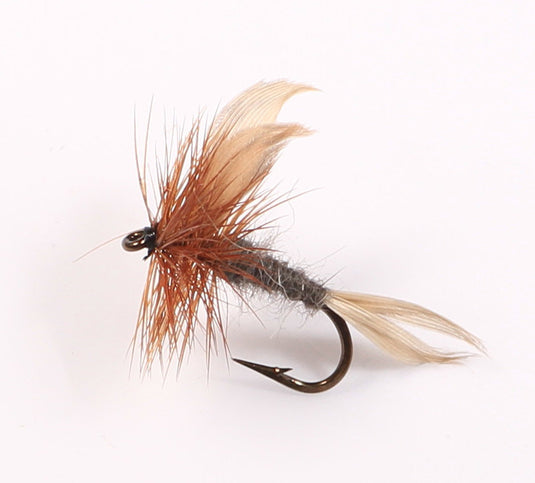 Mouche sèche montée sur nerf STONE FLY