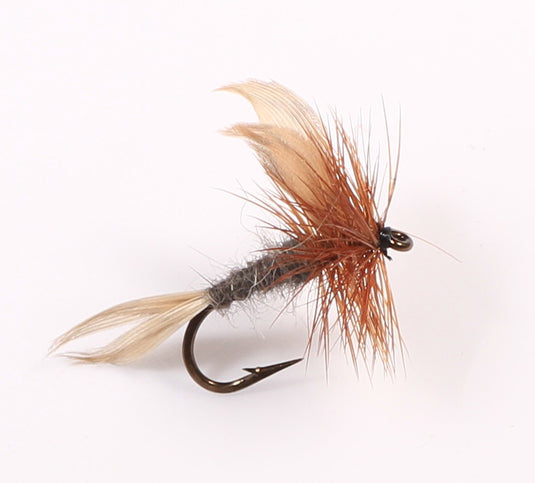 STONE FLY Dry Fly