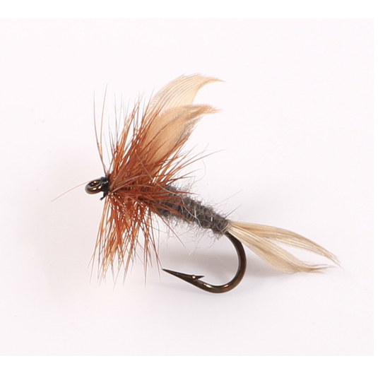 STONE FLY Dry Fly