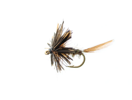 13A DRY SNELLED FLY H10