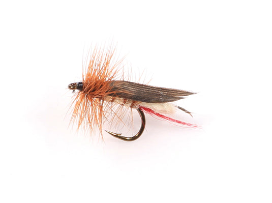 JOLIETTE HOPPER Dry Fly