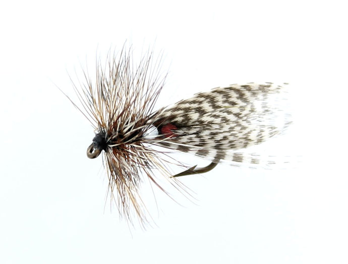 HORNBERG JC Dry Snelled Fly