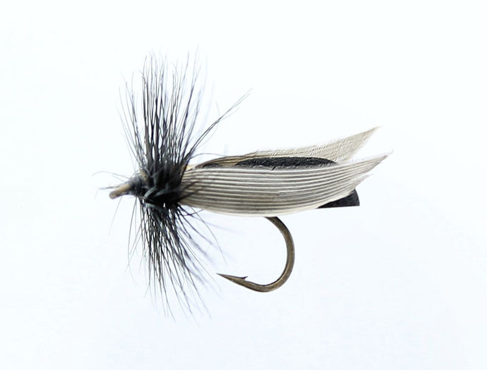 BLACK GNAT FOAM Dry Snelled Fly