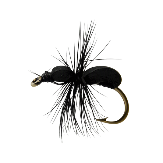 BODY BLACK FOAM DRY FLY